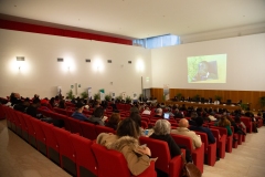 Sicilia-Inclusiva-Conferenza-Fenomeno-Migratorio-2023-144